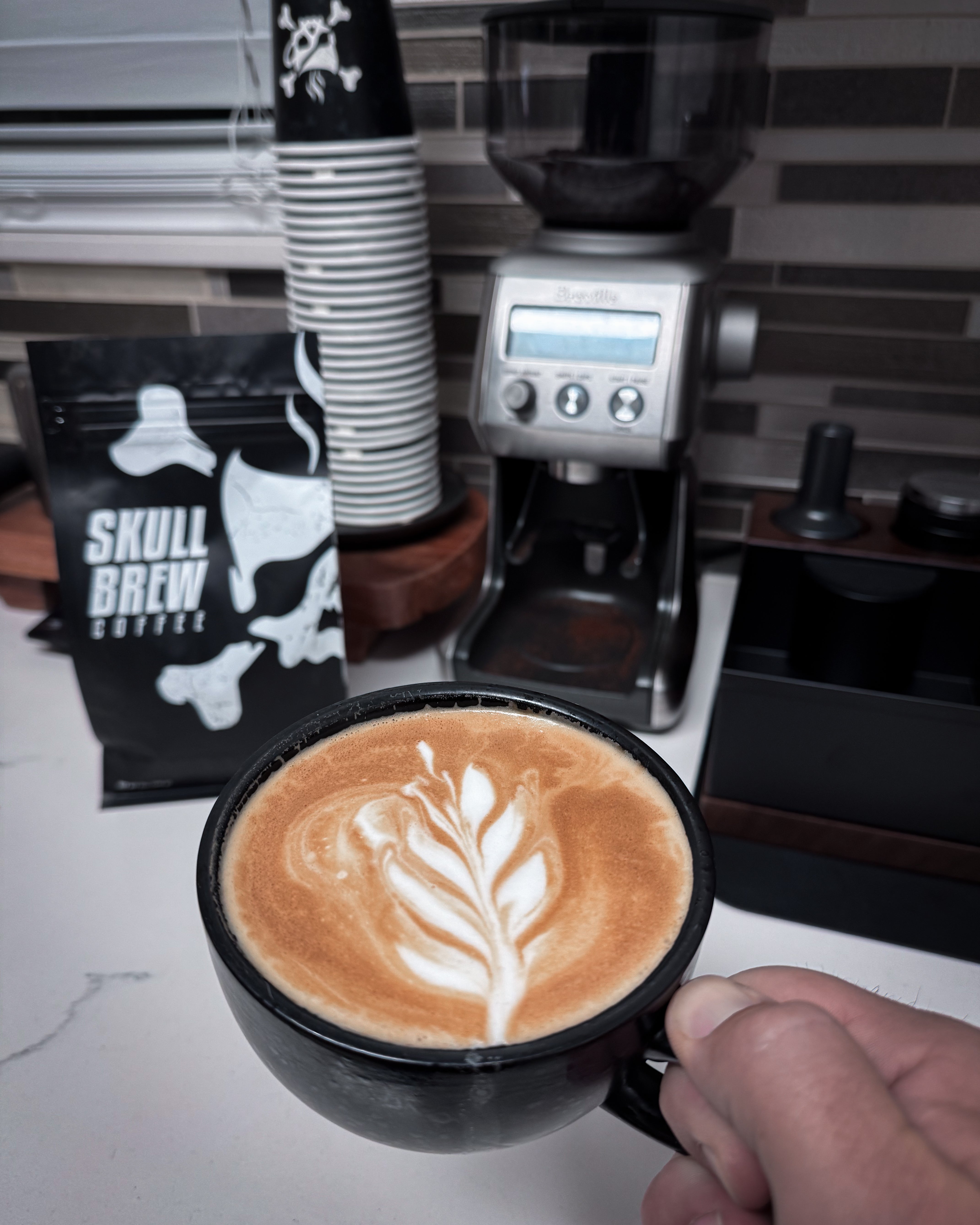 Image of MORTAL MORNINGS